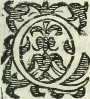 An illustration from Practycke der Nederlansche rechten, van de daghelijcksche soo civile als criminele questien, 1645, leaf 154