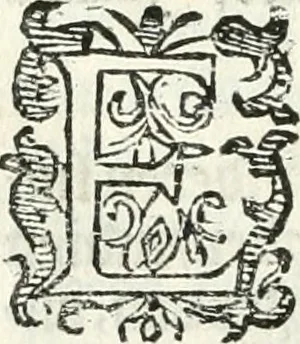 An illustration from Practycke der Nederlansche rechten, van de daghelijcksche soo civile als criminele questien, 1645, leaf 171