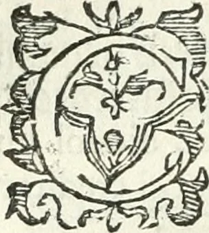 An illustration from Practycke der Nederlansche rechten, van de daghelijcksche soo civile als criminele questien, 1645, leaf 179