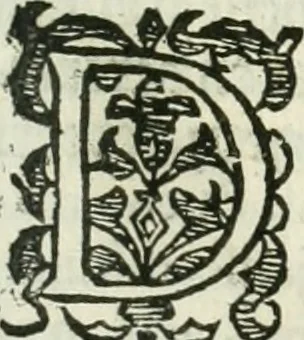 An illustration from Practycke der Nederlansche rechten, van de daghelijcksche soo civile als criminele questien, 1645, leaf 188