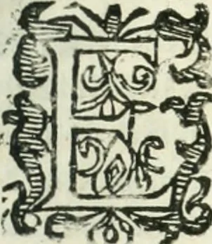 An illustration from Practycke der Nederlansche rechten, van de daghelijcksche soo civile als criminele questien, 1645, leaf 218