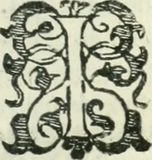 An illustration from Practycke der Nederlansche rechten, van de daghelijcksche soo civile als criminele questien, 1645, leaf 220