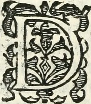 An illustration from Practycke der Nederlansche rechten, van de daghelijcksche soo civile als criminele questien, 1645, leaf 249