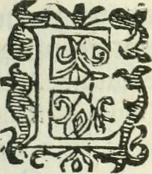 An illustration from Practycke der Nederlansche rechten, van de daghelijcksche soo civile als criminele questien, 1645, leaf 286