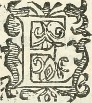 An illustration from Practycke der Nederlansche rechten, van de daghelijcksche soo civile als criminele questien, 1645, leaf 313