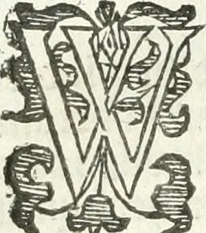 An illustration from Practycke der Nederlansche rechten, van de daghelijcksche soo civile als criminele questien, 1645, leaf 325