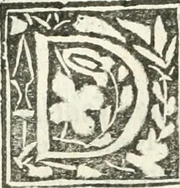 An illustration from Practycke der Nederlansche rechten, van de daghelijcksche soo civile als criminele questien, 1645, leaf 339