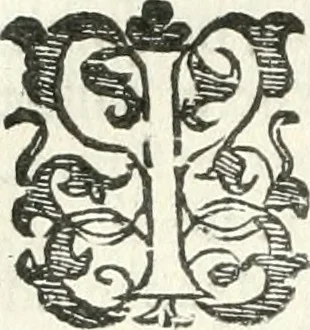 An illustration from Practycke der Nederlansche rechten, van de daghelijcksche soo civile als criminele questien, 1645, leaf 359