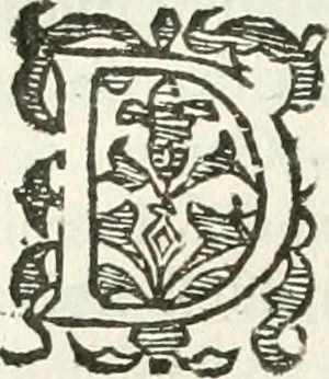 An illustration from Practycke der Nederlansche rechten, van de daghelijcksche soo civile als criminele questien, 1645, leaf 397
