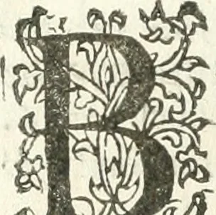 An illustration from Practycke der Nederlansche rechten, van de daghelijcksche soo civile als criminele questien, 1645, leaf 475