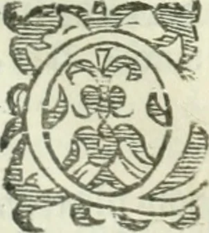 An illustration from Practycke der Nederlansche rechten, van de daghelijcksche soo civile als criminele questien, 1645, leaf 484