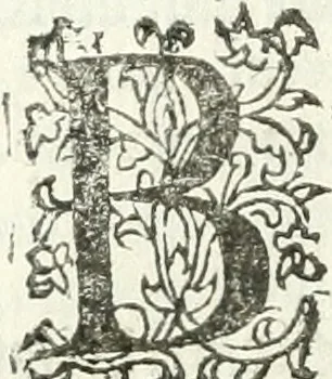 An illustration from Practycke der Nederlansche rechten, van de daghelijcksche soo civile als criminele questien, 1645, leaf 503