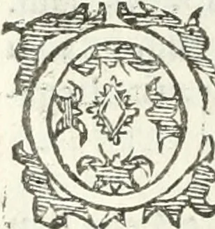An illustration from Practycke der Nederlansche rechten, van de daghelijcksche soo civile als criminele questien, 1645, leaf 549
