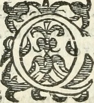 An illustration from Practycke der Nederlansche rechten, van de daghelijcksche soo civile als criminele questien, 1645, leaf 563