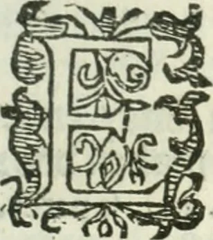 An illustration from Practycke der Nederlansche rechten, van de daghelijcksche soo civile als criminele questien, 1645, leaf 574