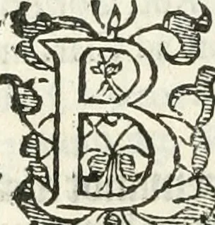 An illustration from Practycke der Nederlansche rechten, van de daghelijcksche soo civile als criminele questien, 1645, leaf 577