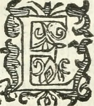 An illustration from Practycke der Nederlansche rechten, van de daghelijcksche soo civile als criminele questien, 1645, leaf 587