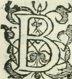 An illustration from Practycke der Nederlansche rechten, van de daghelijcksche soo civile als criminele questien, 1645, leaf 594