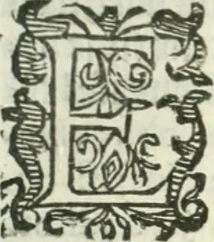 An illustration from Practycke der Nederlansche rechten, van de daghelijcksche soo civile als criminele questien, 1645, leaf 604