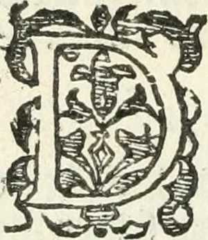 An illustration from Practycke der Nederlansche rechten, van de daghelijcksche soo civile als criminele questien, 1645, leaf 633