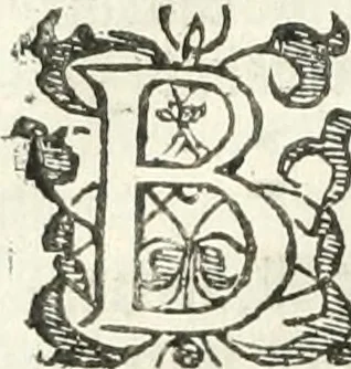 An illustration from Practycke der Nederlansche rechten, van de daghelijcksche soo civile als criminele questien, 1645, leaf 665