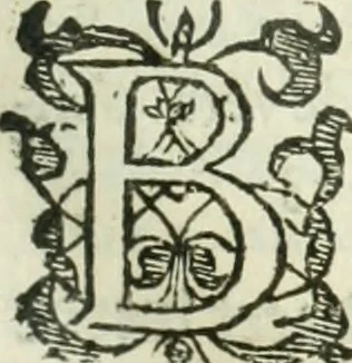 An illustration from Practycke der Nederlansche rechten, van de daghelijcksche soo civile als criminele questien, 1645, leaf 674
