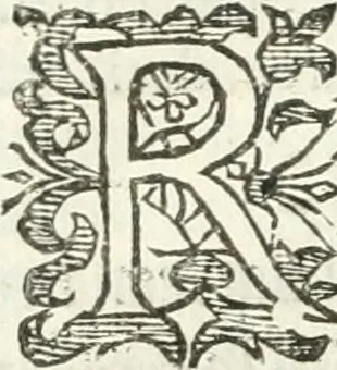 An illustration from Practycke der Nederlansche rechten, van de daghelijcksche soo civile als criminele questien, 1645, leaf 677