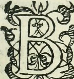 An illustration from Practycke der Nederlansche rechten, van de daghelijcksche soo civile als criminele questien, 1645, leaf 68