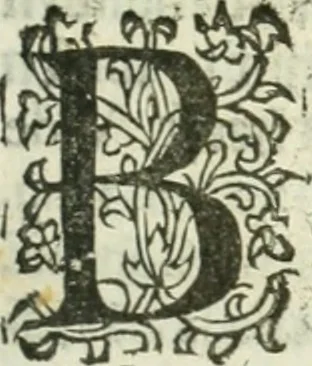 An illustration from Practycke der Nederlansche rechten, van de daghelijcksche soo civile als criminele questien, 1645, leaf 680