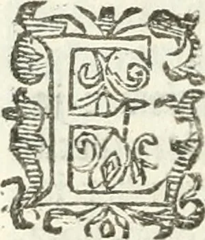 An illustration from Practycke der Nederlansche rechten, van de daghelijcksche soo civile als criminele questien, 1645, leaf 683