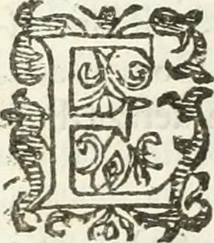 An illustration from Practycke der Nederlansche rechten, van de daghelijcksche soo civile als criminele questien, 1645, leaf 697