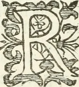 An illustration from Practycke der Nederlansche rechten, van de daghelijcksche soo civile als criminele questien, 1645, leaf 701