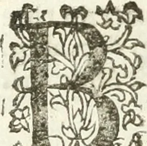 An illustration from Practycke der Nederlansche rechten, van de daghelijcksche soo civile als criminele questien, 1645, leaf 707
