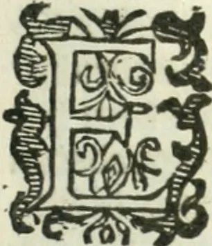 An illustration from Practycke der Nederlansche rechten, van de daghelijcksche soo civile als criminele questien, 1645, leaf 712
