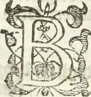 An illustration from Practycke der Nederlansche rechten, van de daghelijcksche soo civile als criminele questien, 1645, leaf 719