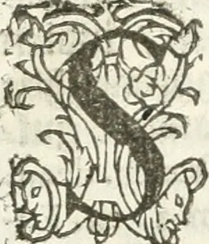 An illustration from Practycke der Nederlansche rechten, van de daghelijcksche soo civile als criminele questien, 1645, leaf 727