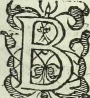 An illustration from Practycke der Nederlansche rechten, van de daghelijcksche soo civile als criminele questien, 1645, leaf 78