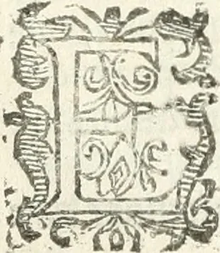 An illustration from Practycke der Nederlansche rechten, van de daghelijcksche soo civile als criminele questien, 1645, leaf 811