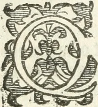 An illustration from Practycke der Nederlansche rechten, van de daghelijcksche soo civile als criminele questien, 1645, leaf 815