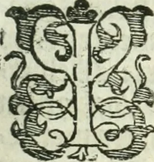An illustration from Practycke der Nederlansche rechten, van de daghelijcksche soo civile als criminele questien, 1645, leaf 88