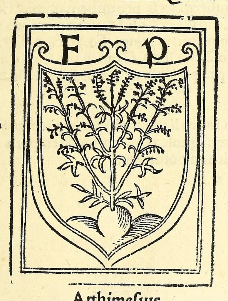 An illustration from Praeclara Ferdina[n]di. Cortesii de noua maris oceani Hyspania narratio sacratissimo. ac inuictissimo Carolo Romanoru[m] Imperatori semper Augusto, Hyspaniaru[m], [etc] Regi Anno Domini. M.D.XX. transmissa : in qua continentur plurima scitu, [et] admiratione digna circa egregias earu[m] p[ro]uintiaru[m] vrbes ... potissimu[m]q[ue] de celebri ciuitate Temixtitan variisq[ue] illi[us] mirabilib[us], qu[a]e lege[n]te[m] mirifice delectabu[n]t,, 1524, leaf 111