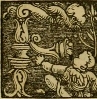 An illustration from Praeclara Ferdinãdi. Cortesii de noua maris oceani Hyspania narratio : sacratissimo. ac inuictissimo Carolo Romanoru imperatori semper augusto, Hyspaniaru, &c regi anno domini. M.D.XX. transmissa : in qua continentur plurima scitu, & admiratione digna circa egregias earu p[er]uintiaru vrbes, incolaru mores, pueroru sacrificia, & religiosas personas, potissimuq[ue] de celebri ciuitate Temixtitan variisq[ue] illi[us] mirabilib[us], que legete mirifice delectabut, 1524, leaf 10