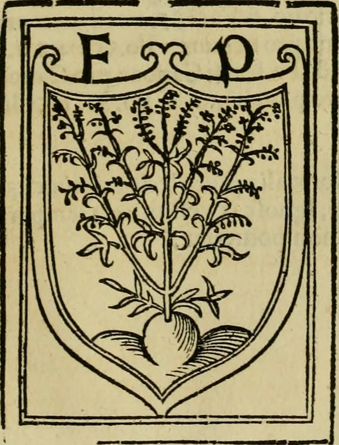 An illustration from Praeclara Ferdinãdi. Cortesii de noua maris oceani Hyspania narratio : sacratissimo. ac inuictissimo Carolo Romanoru imperatori semper augusto, Hyspaniaru, &c regi anno domini. M.D.XX. transmissa : in qua continentur plurima scitu, & admiratione digna circa egregias earu p[er]uintiaru vrbes, incolaru mores, pueroru sacrificia, & religiosas personas, potissimuq[ue] de celebri ciuitate Temixtitan variisq[ue] illi[us] mirabilib[us], que legete mirifice delectabut, 1524, leaf 110