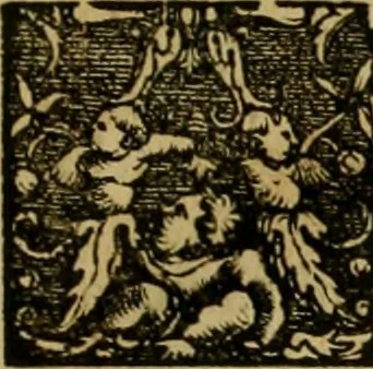 An illustration from Praeclara Ferdinãdi. Cortesii de noua maris oceani Hyspania narratio : sacratissimo. ac inuictissimo Carolo Romanoru imperatori semper augusto, Hyspaniaru, &c regi anno domini. M.D.XX. transmissa : in qua continentur plurima scitu, & admiratione digna circa egregias earu p[er]uintiaru vrbes, incolaru mores, pueroru sacrificia, & religiosas personas, potissimuq[ue] de celebri ciuitate Temixtitan variisq[ue] illi[us] mirabilib[us], que legete mirifice delectabut, 1524, leaf 8