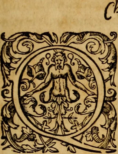 An illustration from Praelectiones, in duodecim prophetas (quos vocant) minores .., 1610, leaf 14