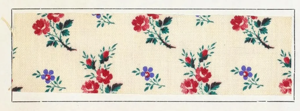 An illustration from Praktisches Handbuch des Zeugdrucks, 1885, leaf 565