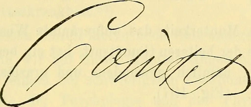An illustration from Praktisches Lehrbuch der Graphologie : (Handschriften-Deutungs-Kunde), 1897, leaf 218