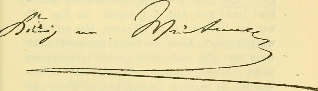 An illustration from Praktisches Lehrbuch der Graphologie : (Handschriften-Deutungs-Kunde), 1897, leaf 258