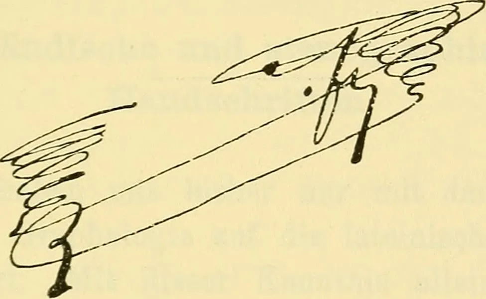 An illustration from Praktisches Lehrbuch der Graphologie : (Handschriften-Deutungs-Kunde), 1897, leaf 268