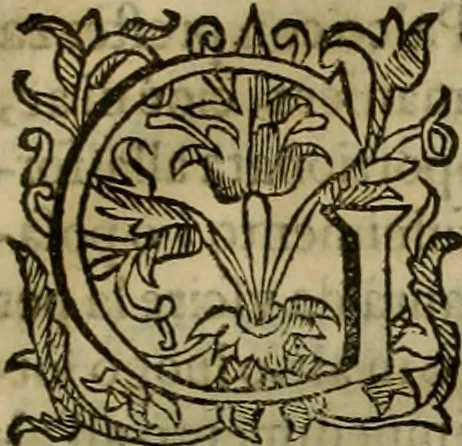 An illustration from Pratica di fabricar scene e machine ne' teatri, 1638, leaf 114